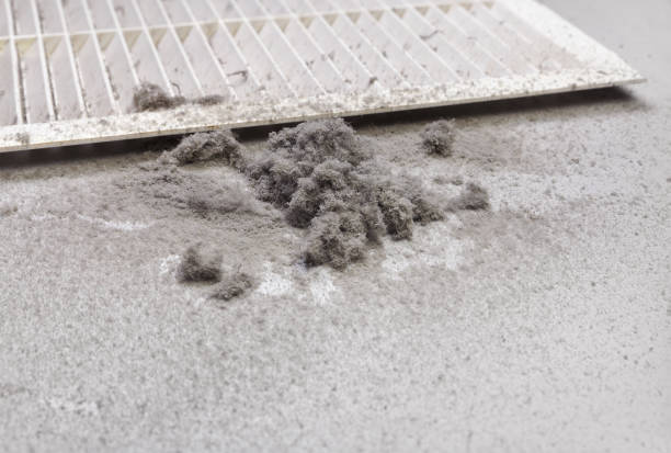 Best Emergency Air Duct Cleaning  in Sun Valley, NV