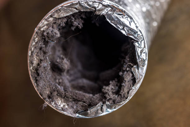 Best Air Vent Cleaning Services  in Sun Valley, NV