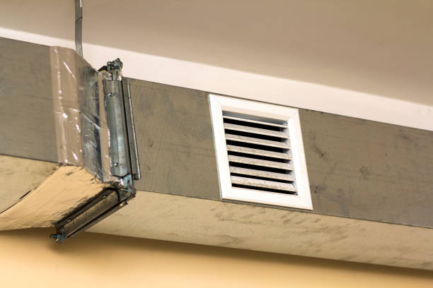 Best Professional Duct Cleaning Services  in Sun Valley, NV
